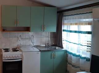 Апартаменты Loft apartment Никшич Апартаменты с 1 спальней-20