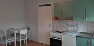 Апартаменты Loft apartment Никшич Апартаменты с 1 спальней-24
