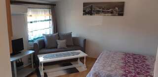 Апартаменты Loft apartment Никшич Апартаменты с 1 спальней-26
